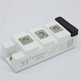 MG100HF065TLC1