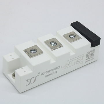 MG100HF065TLC1