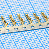 T-DS1147-06-SC800
