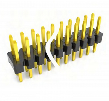 DS1021-2X4SF11-B